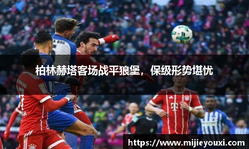 乐盈VI官网