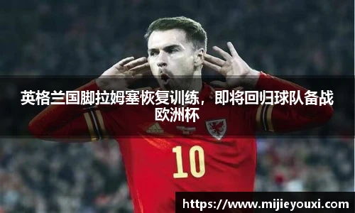 乐盈VI官网