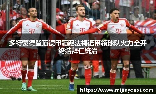 乐盈VI官网