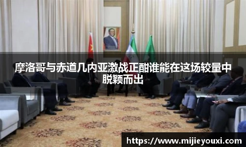 乐盈VI官网