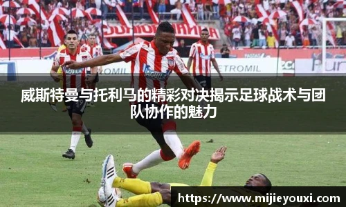 乐盈VI官网登录入口